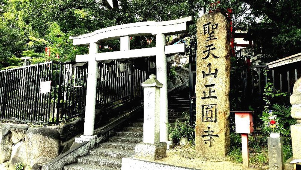 【城ラン】岸和田城▶▶▶大阪城の写真16