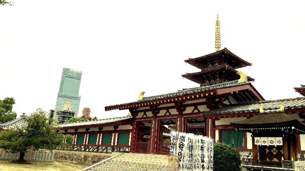 【城ラン】岸和田城▶▶▶大阪城の写真20