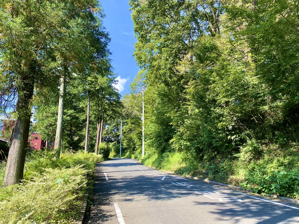 八王子 シルクロード〜野猿峠の写真5