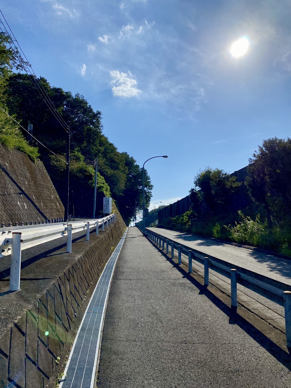 八王子 シルクロード〜野猿峠の写真8