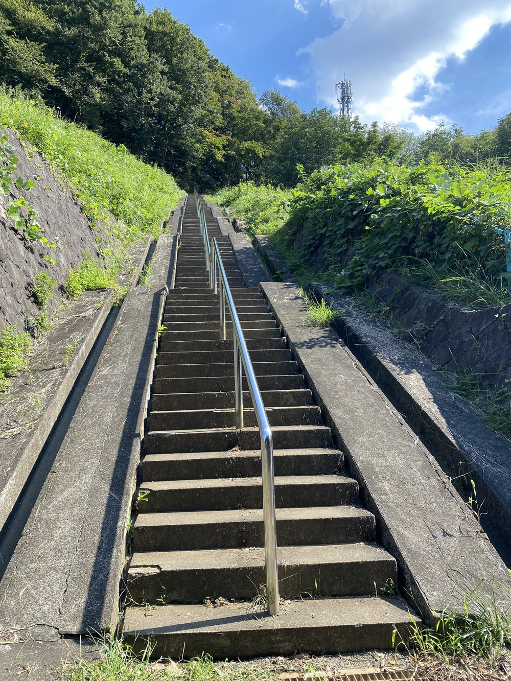 八王子 シルクロード〜野猿峠の写真13