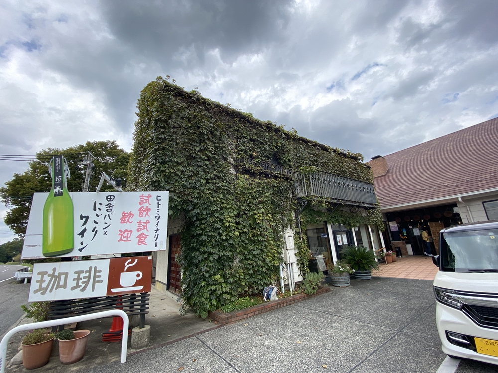 東近江市永源寺の田園地帯の蕎麦の白い花とワイナリーの酵母パンの写真5