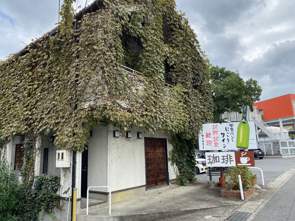 東近江市永源寺の田園地帯の蕎麦の白い花とワイナリーの酵母パンの写真6