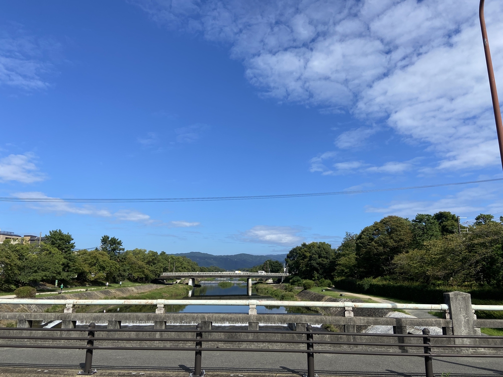 安心の鴨川の写真3