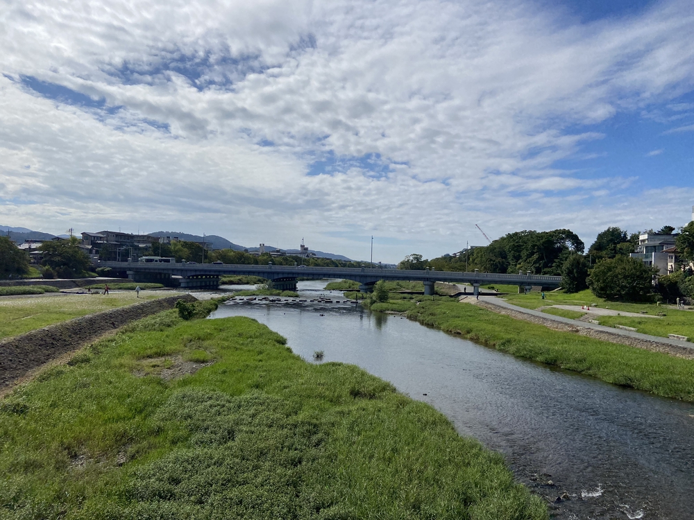 安心の鴨川の写真4