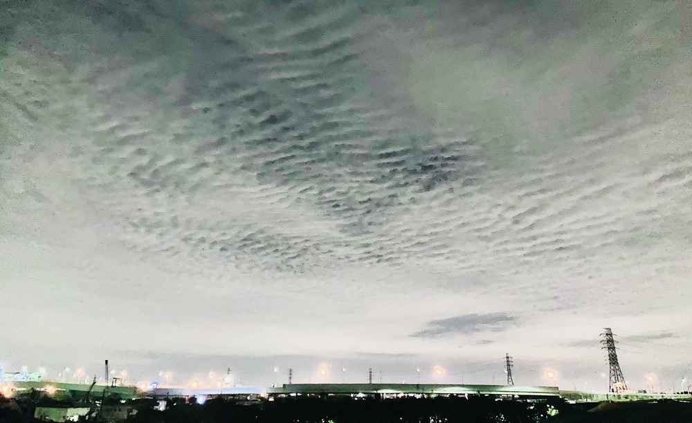 幸魂大橋からの夜景一望コースの写真3