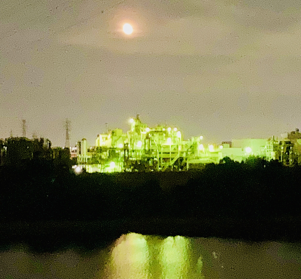 幸魂大橋からの夜景一望コースの写真4