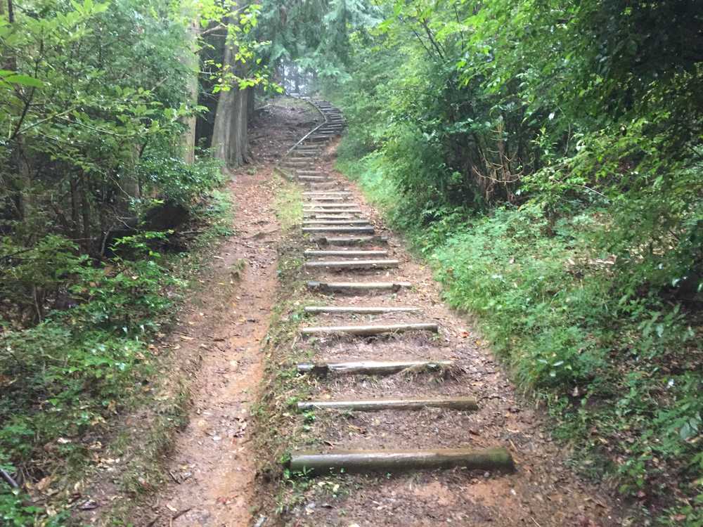 細江公園から富幕山山頂までの往復コースになります。の写真3