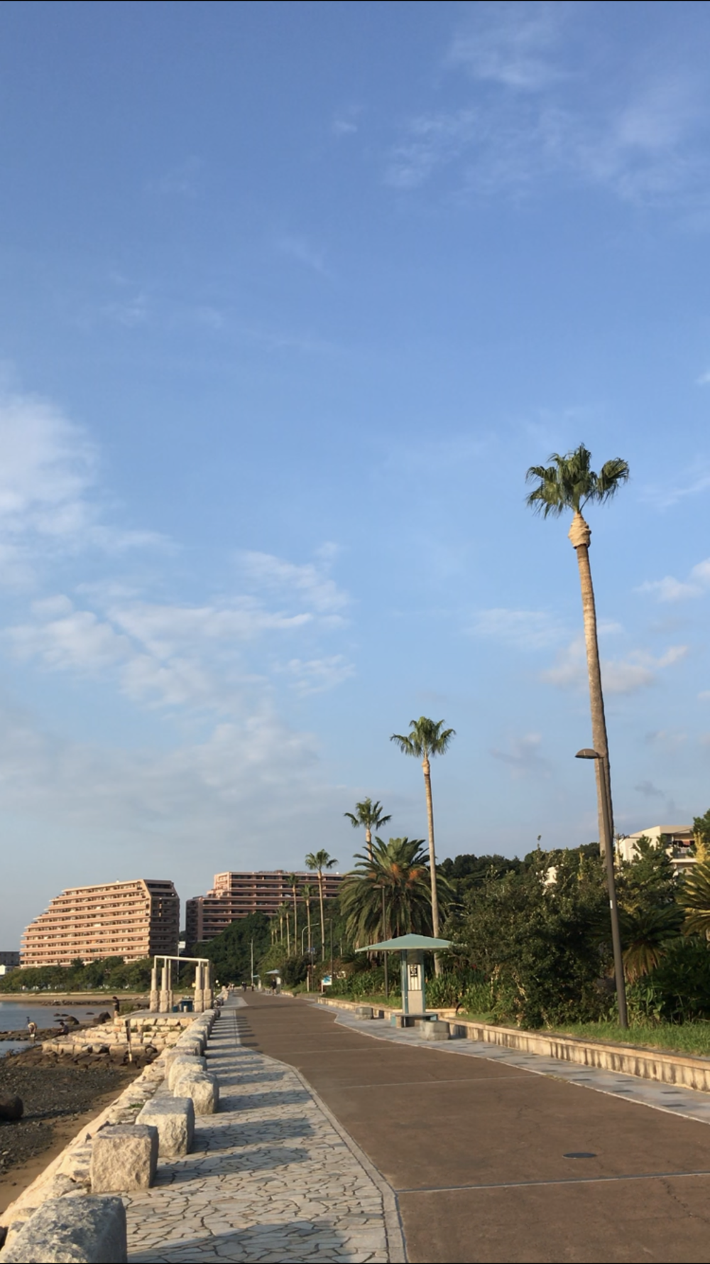 香椎浜海岸の周回コース♬の写真6