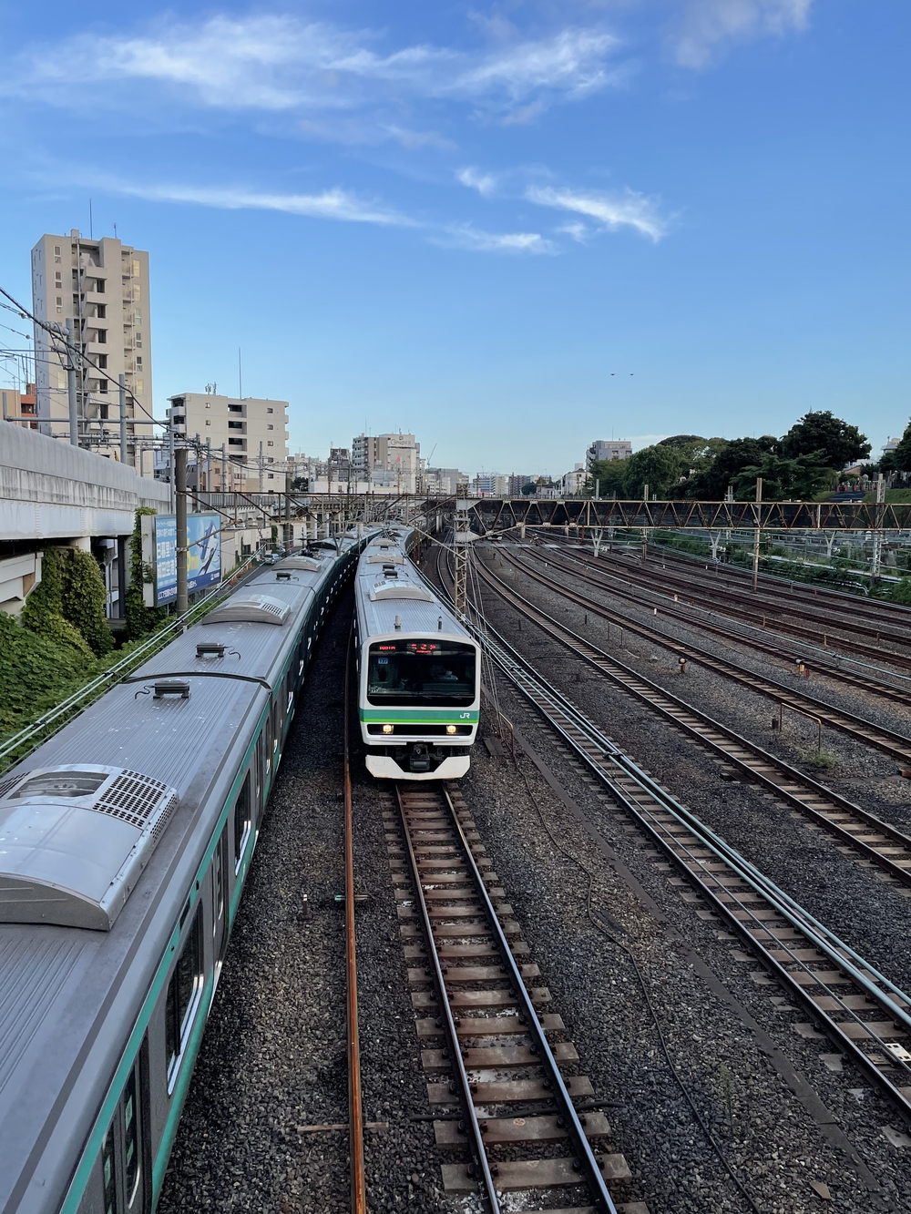 歌川広重と共にRUN 道灌山の写真3