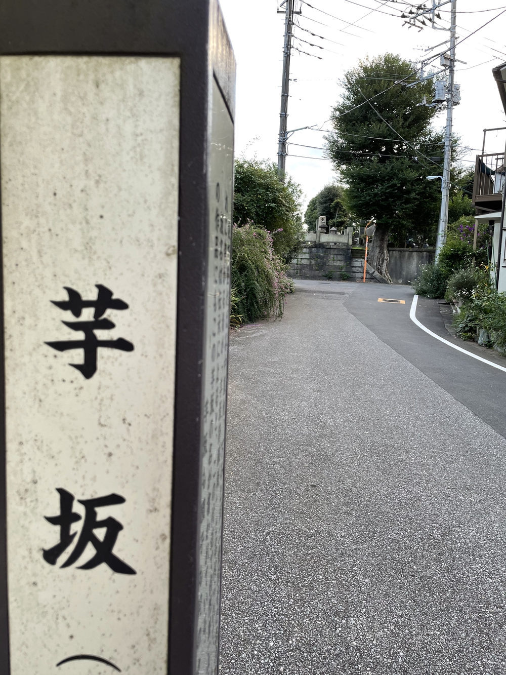 歌川広重と共にRUN 道灌山の写真4