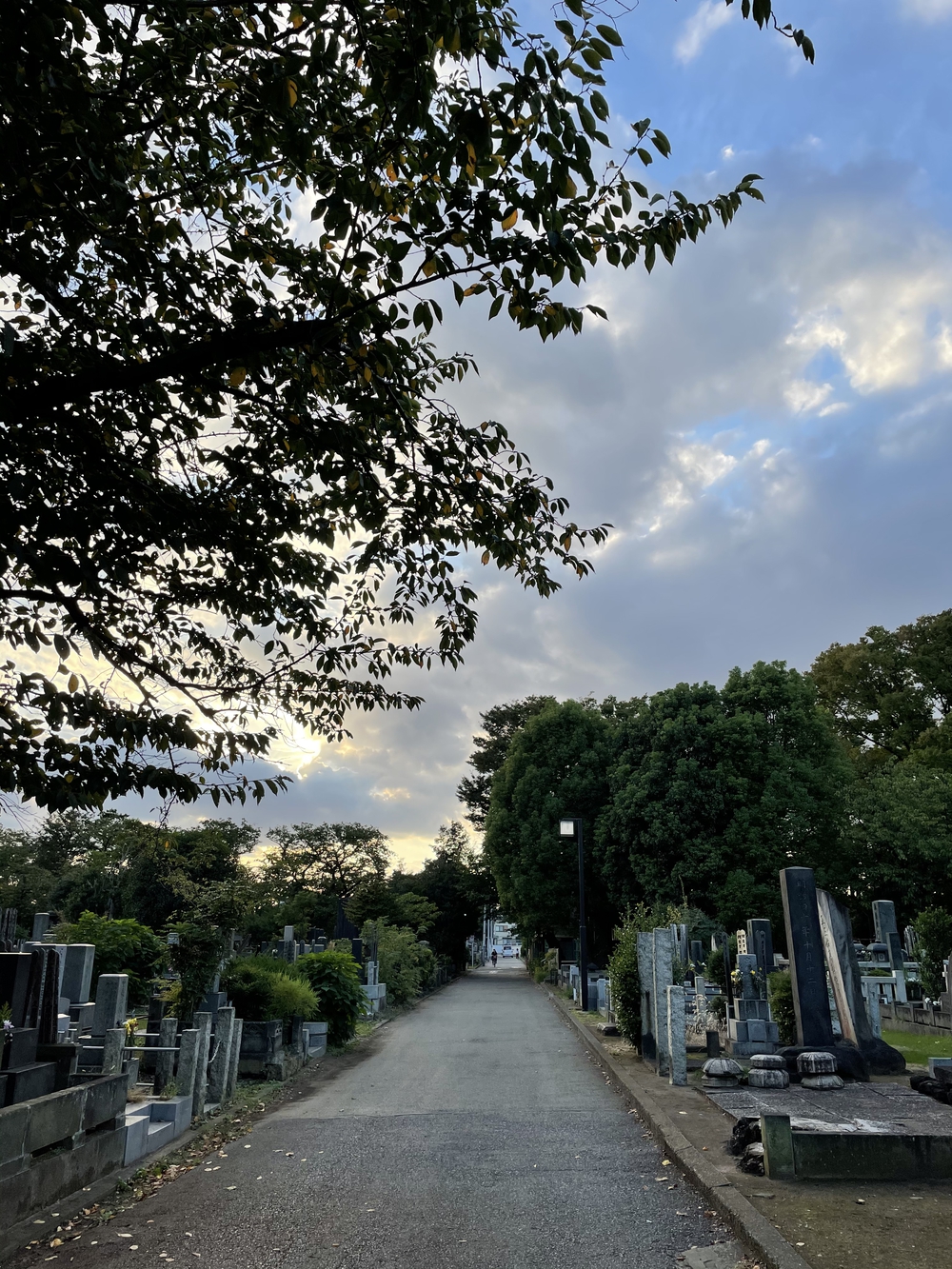 歌川広重と共にRUN 道灌山の写真5