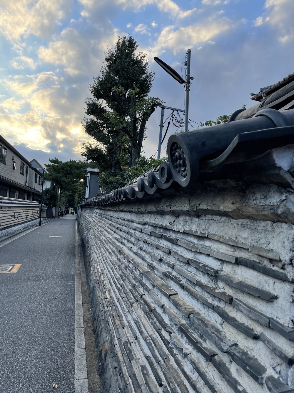 歌川広重と共にRUN 道灌山の写真6