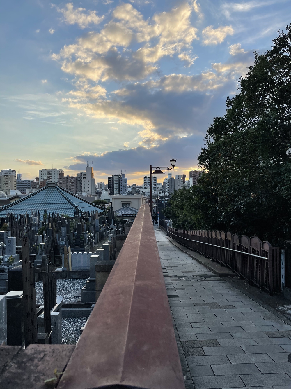 歌川広重と共にRUN 道灌山の写真8