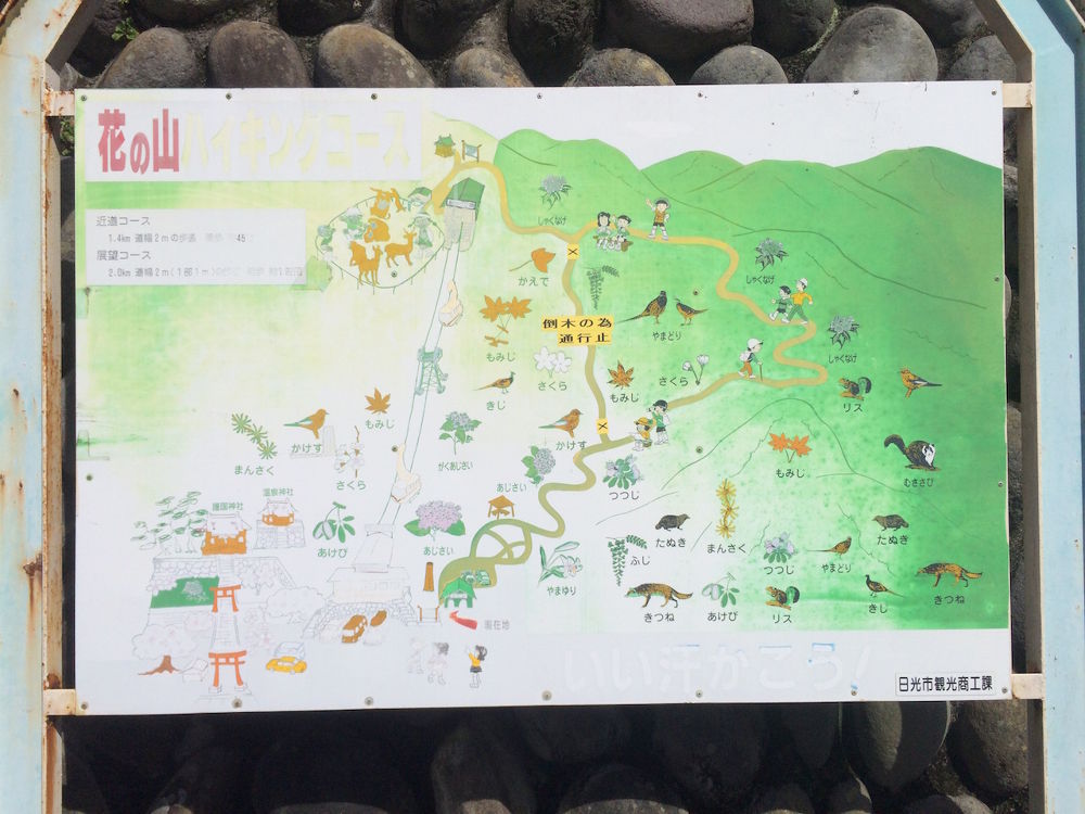 標高差300mの鬼怒川・丸山トレイル【4km】の写真4