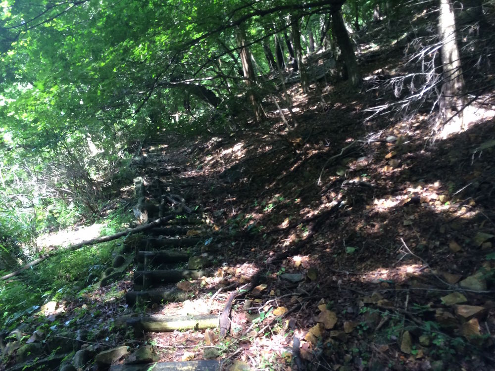 標高差300mの鬼怒川・丸山トレイル【4km】の写真6