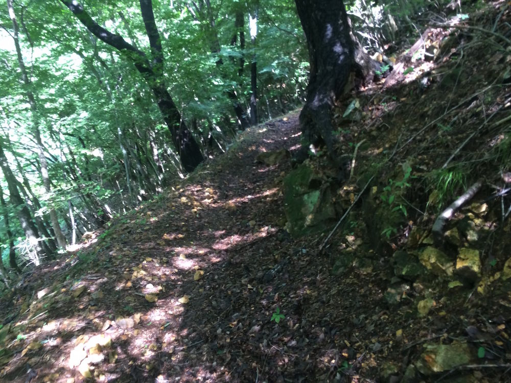 標高差300mの鬼怒川・丸山トレイル【4km】の写真7