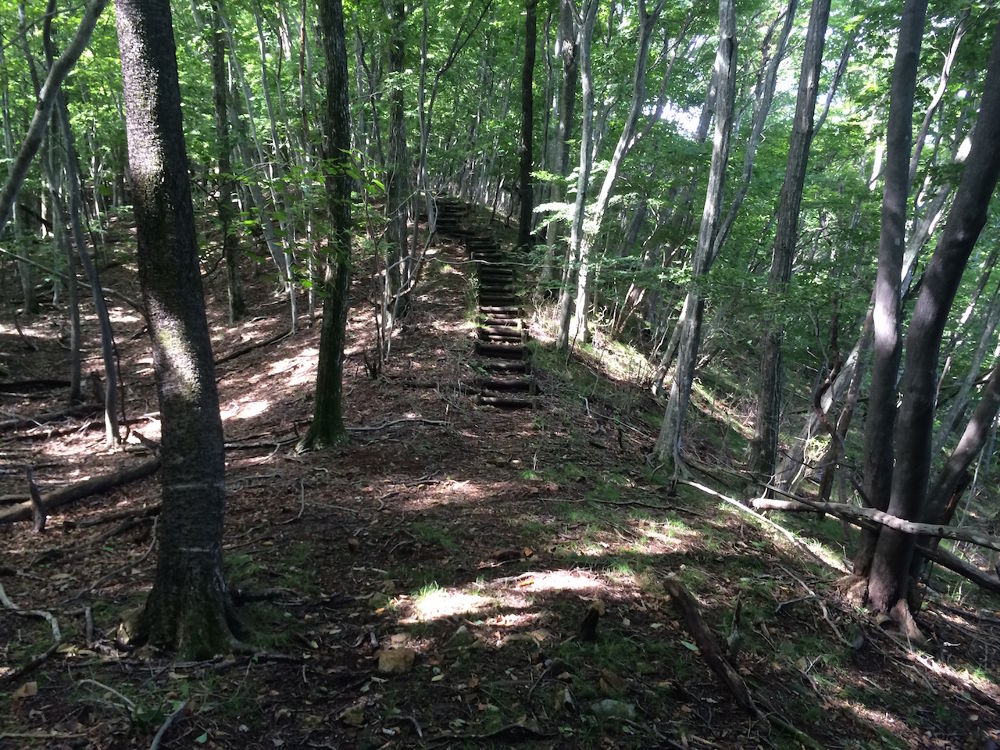標高差300mの鬼怒川・丸山トレイル【4km】の写真8