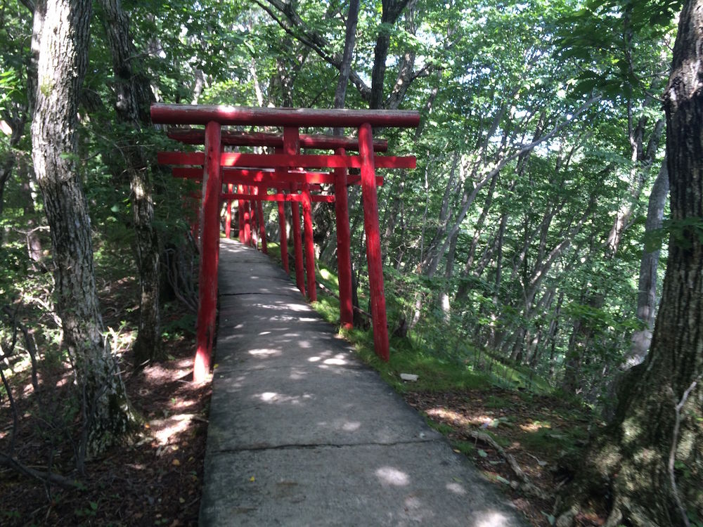 標高差300mの鬼怒川・丸山トレイル【4km】の写真9