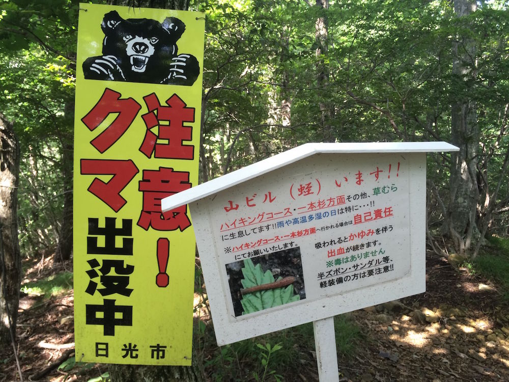 標高差300mの鬼怒川・丸山トレイル【4km】の写真11
