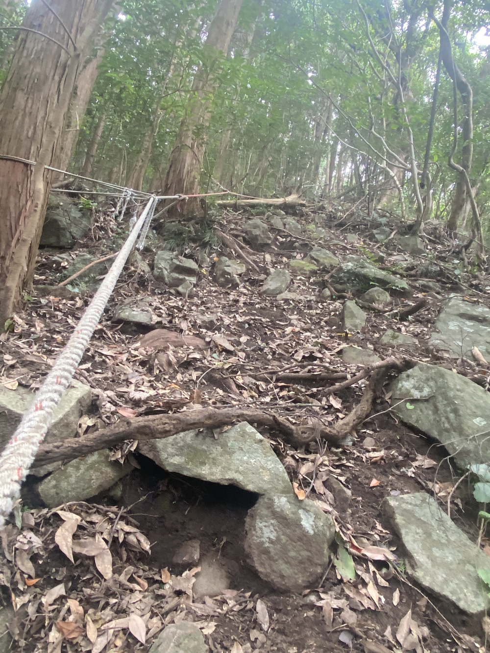 諏訪神社スタート七高山をぐるっと回るの写真4