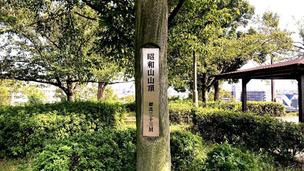 大阪環状線ラン❶桃谷駅▶大正駅の写真30