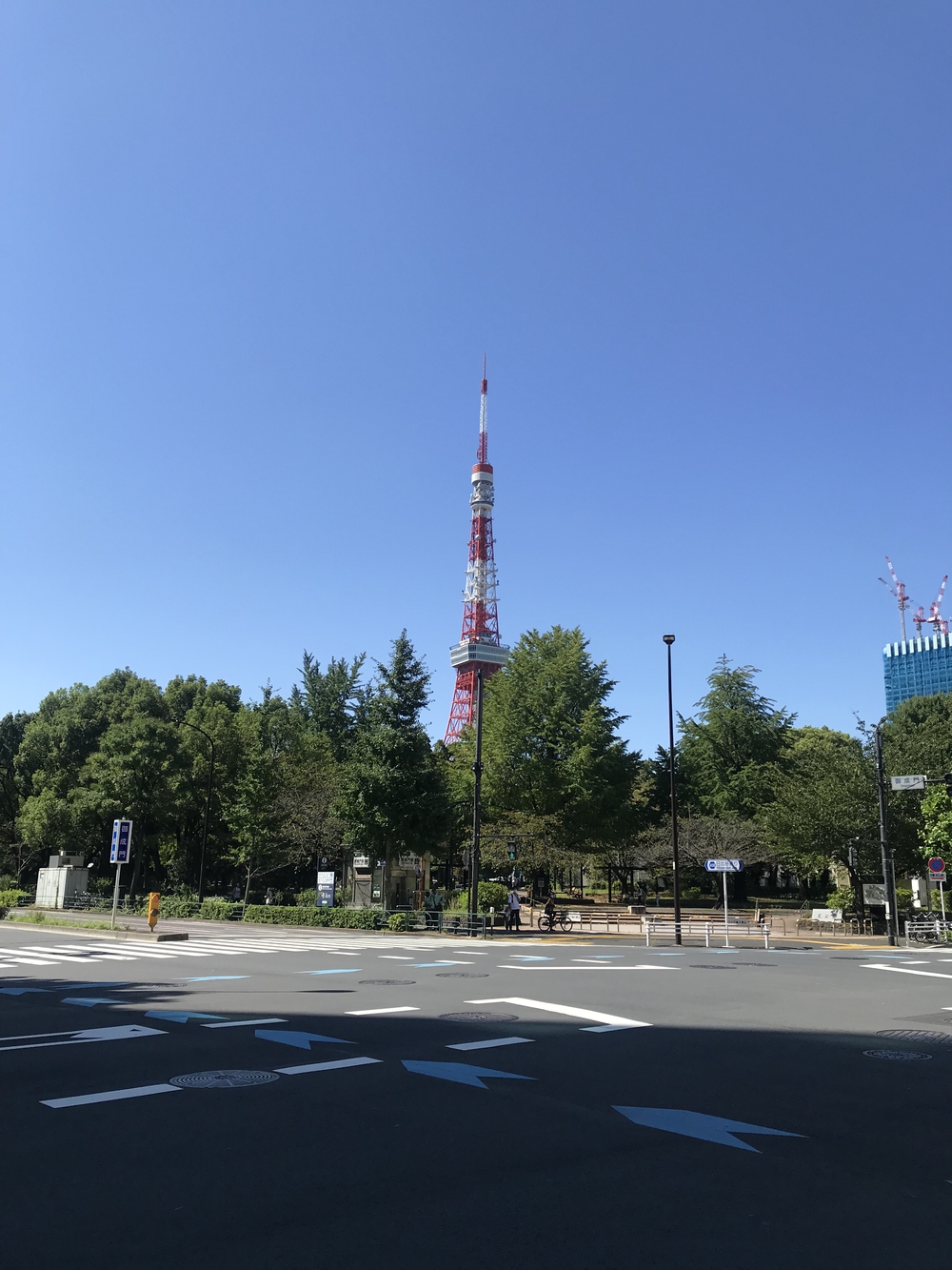 東京マラソン2021 後半ハーフ試走の写真4