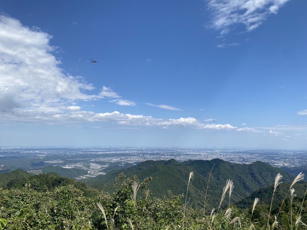 陣馬山～高尾山 トレイルの写真6