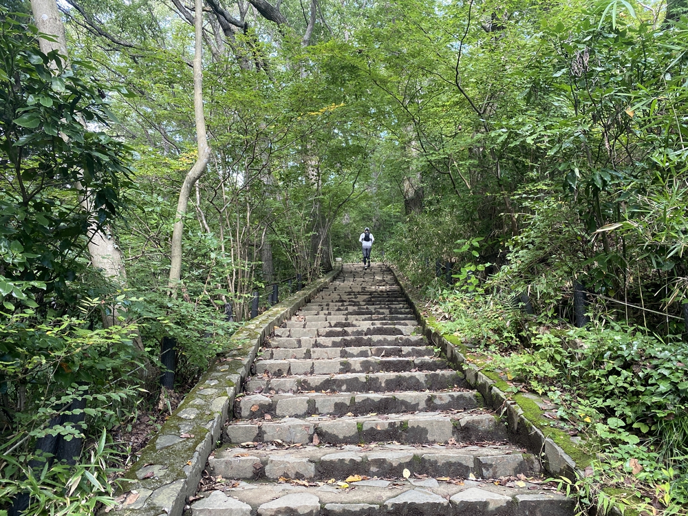 陣馬山～高尾山 トレイルの写真8