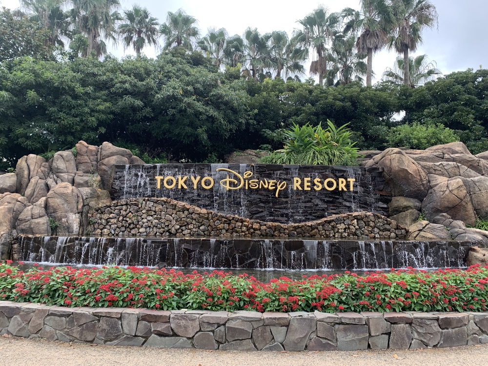 浦安市総合公園からディズニーリゾート🐭の写真3