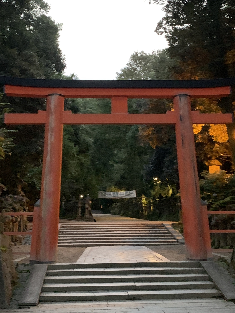 JR奈良駅〜奈良公園・春日大社・若草山の写真4