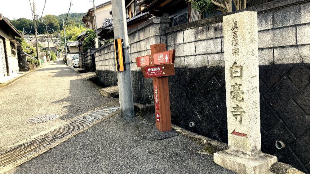 そうだ、奈良へ行こう。の写真7