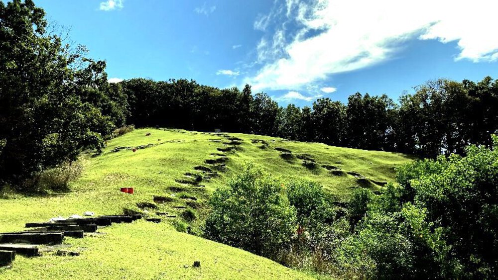 そうだ、奈良へ行こう。の写真8