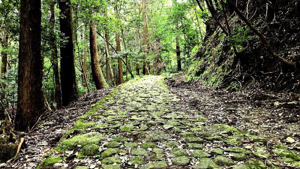 そうだ、奈良へ行こう。の写真14