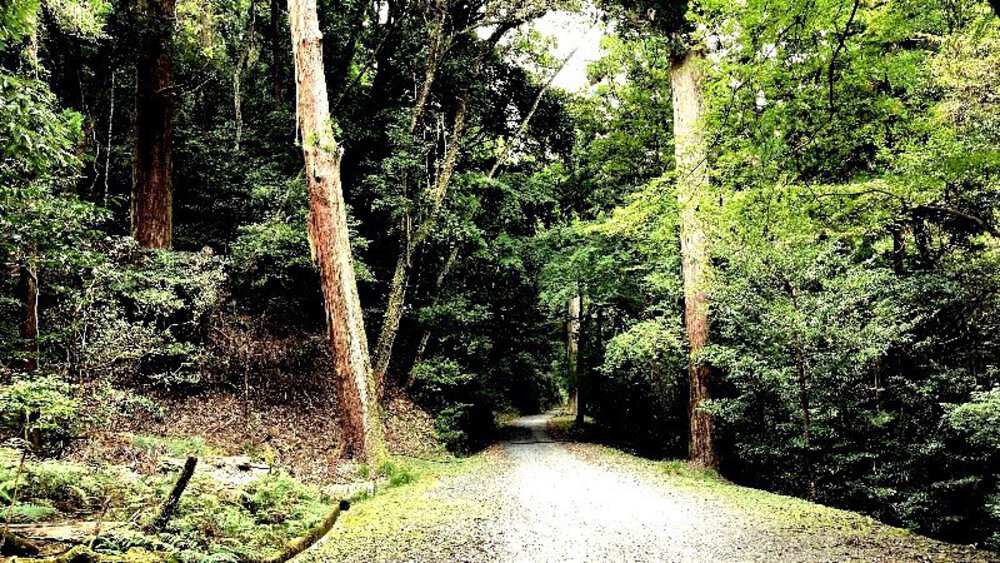 そうだ、奈良へ行こう。の写真15