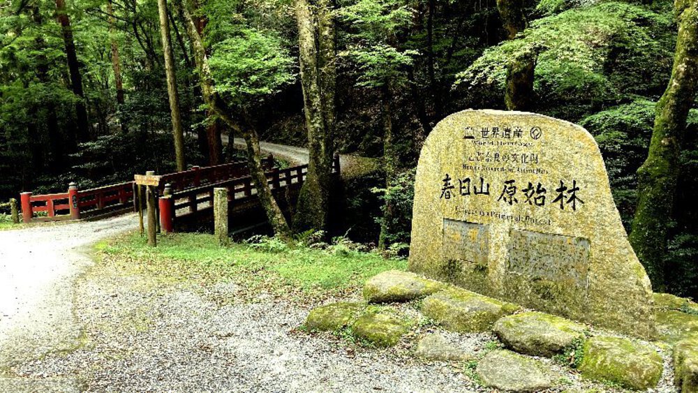 そうだ、奈良へ行こう。の写真16