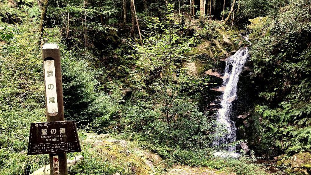 そうだ、奈良へ行こう。の写真17