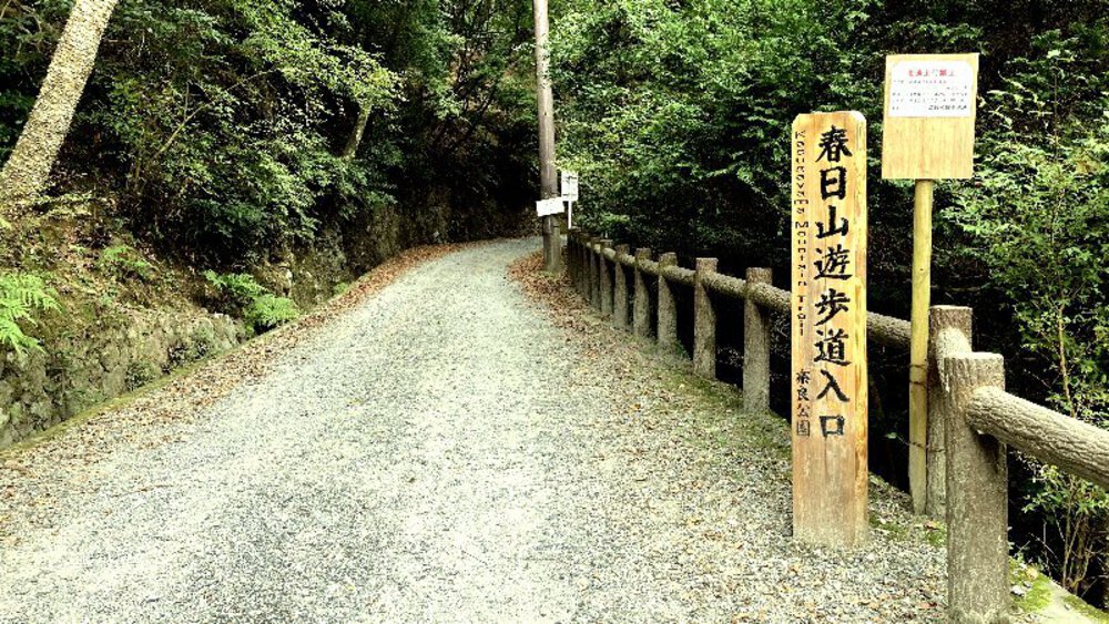 そうだ、奈良へ行こう。の写真21