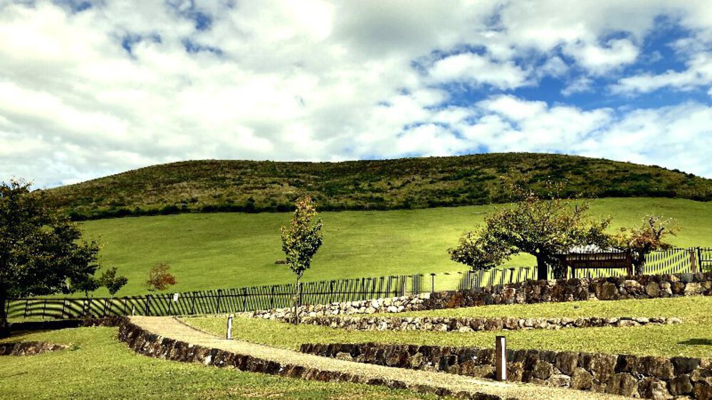 そうだ、奈良へ行こう。の写真22