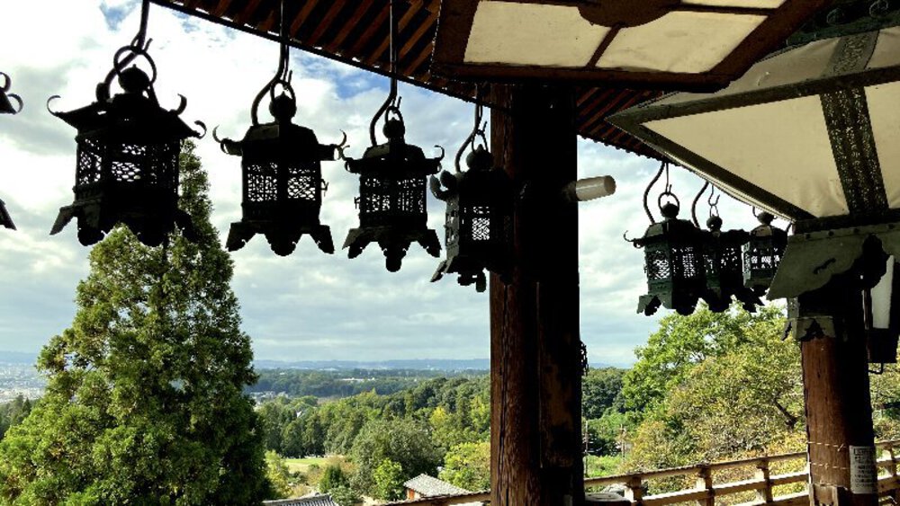 そうだ、奈良へ行こう。の写真25