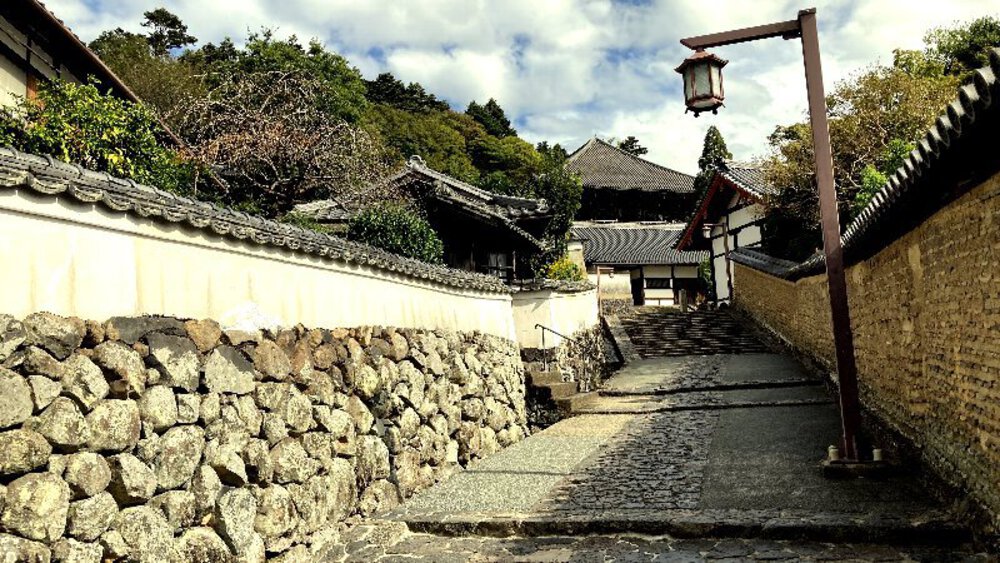 そうだ、奈良へ行こう。の写真26