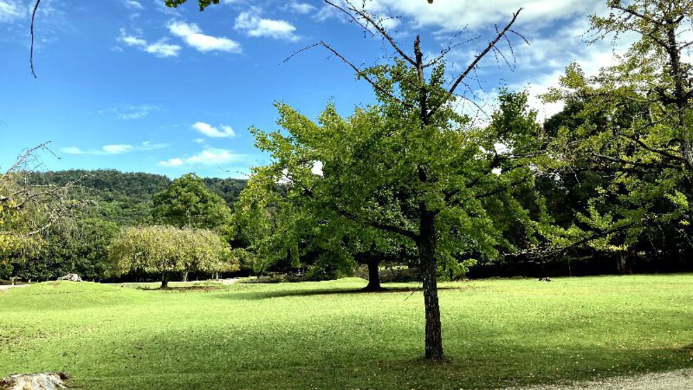 そうだ、奈良へ行こう。の写真28