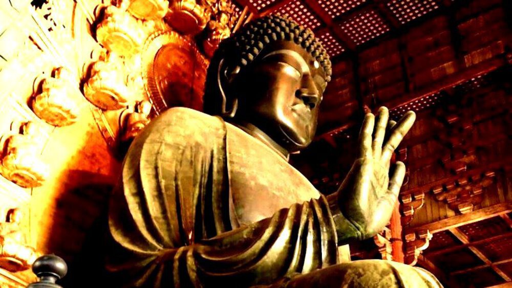 そうだ、奈良へ行こう。の写真30