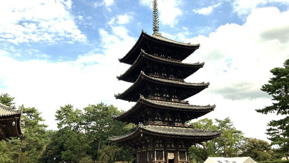 そうだ、奈良へ行こう。の写真37