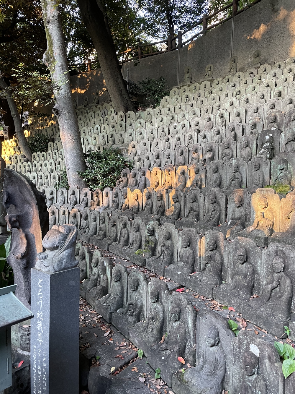 歌川広重と共にRUN 目黒行人坂の写真4