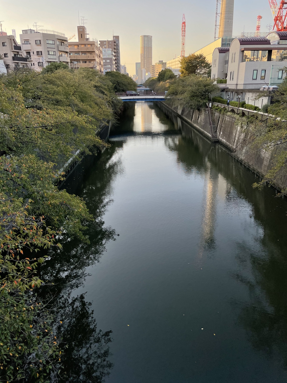 歌川広重と共にRUN 目黒行人坂の写真6