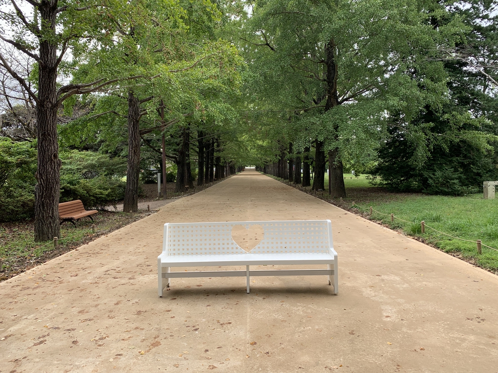 昭和記念公園　森のコースの写真3