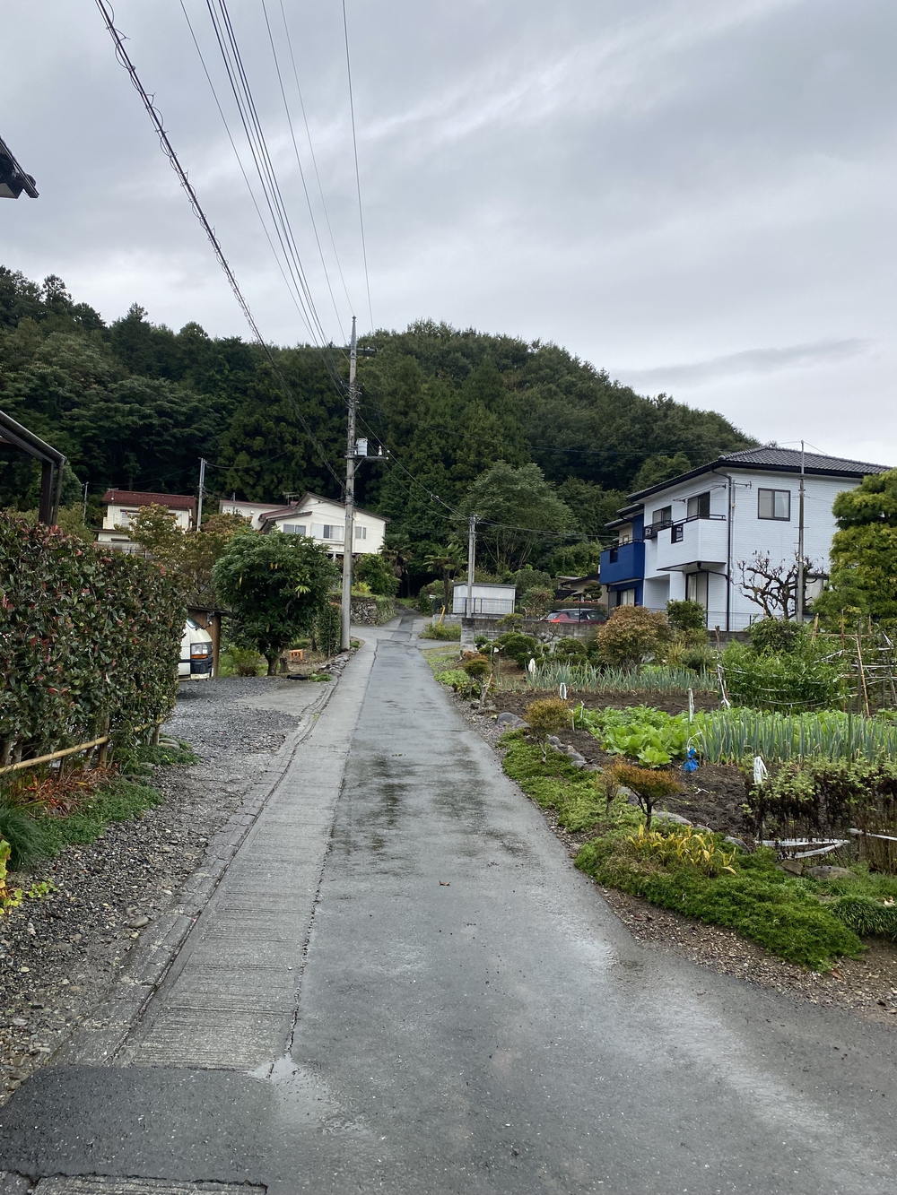 長瀞アルプスと岩畳をくるっと一周の写真3