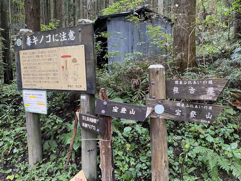 長瀞アルプスと岩畳をくるっと一周の写真5