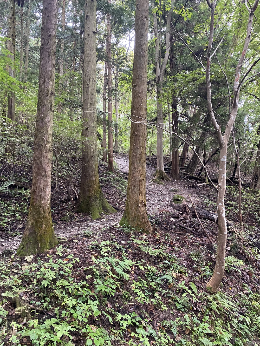 長瀞アルプスと岩畳をくるっと一周の写真6